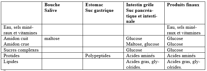 recapitulation